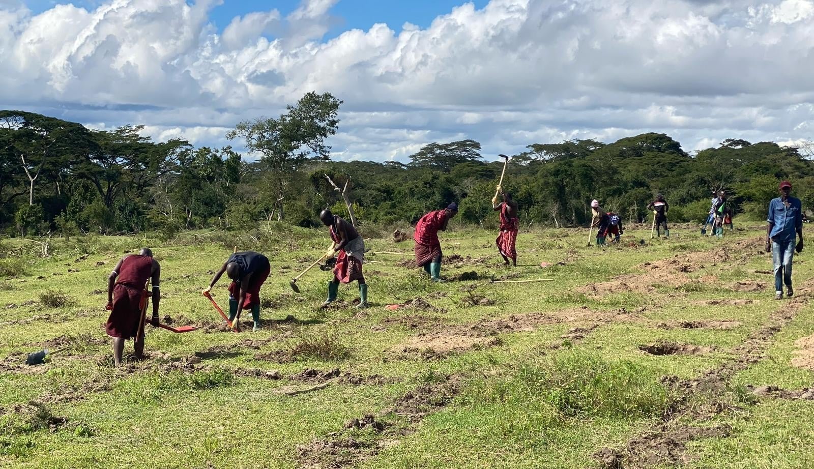 Suledo Community ARR Project